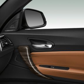 BMW 2 Series Convertible, side door panel BMW 2 Series Convertible, side door panel
