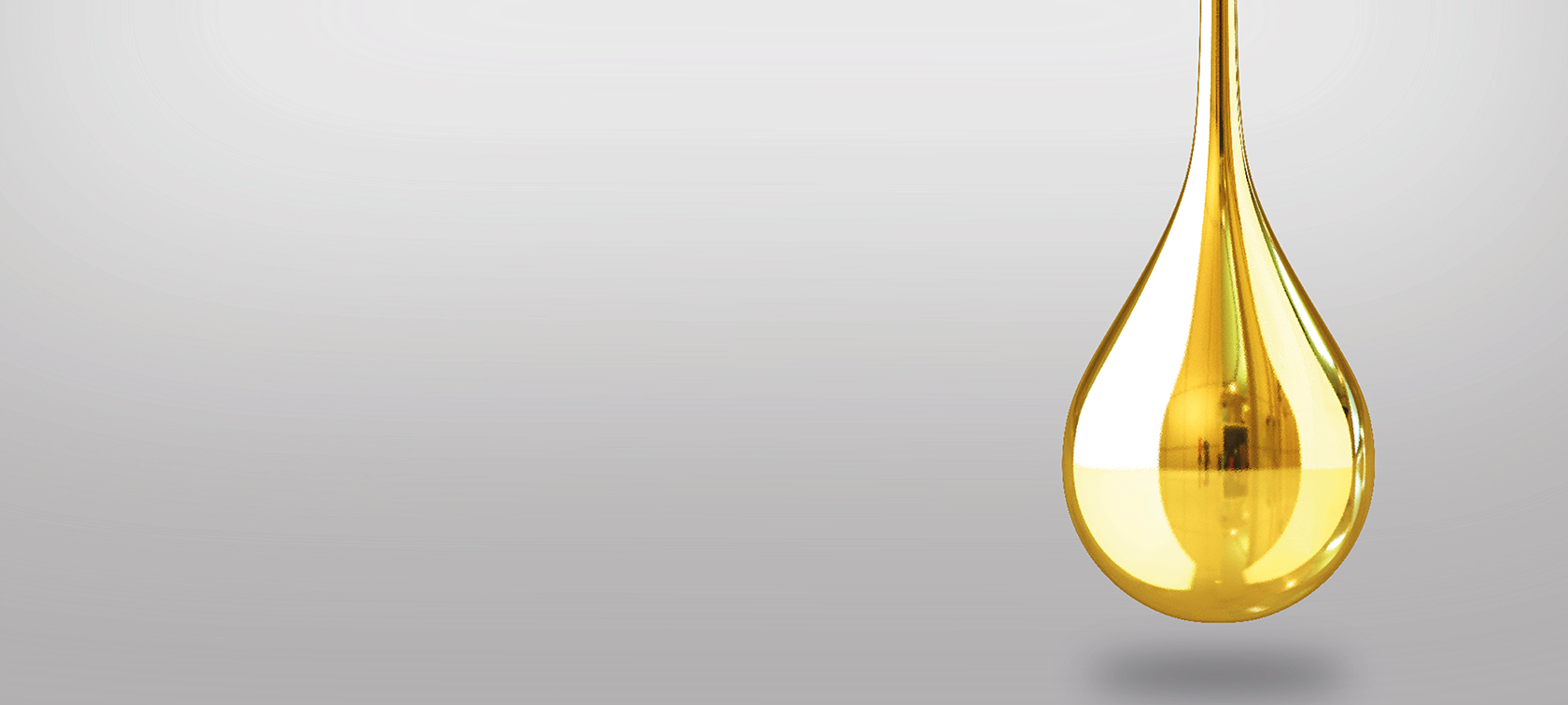 BMW OIL SERVICES BMW OIL SERVICES