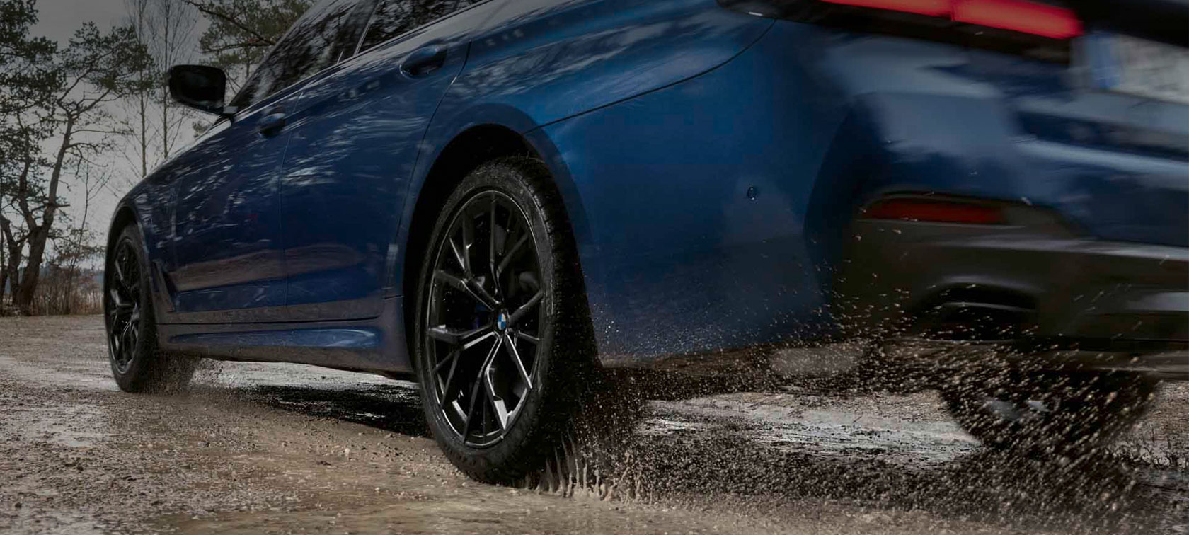 BMW Tyre Cover