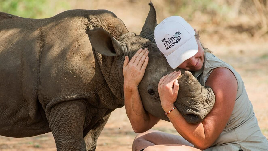conservation