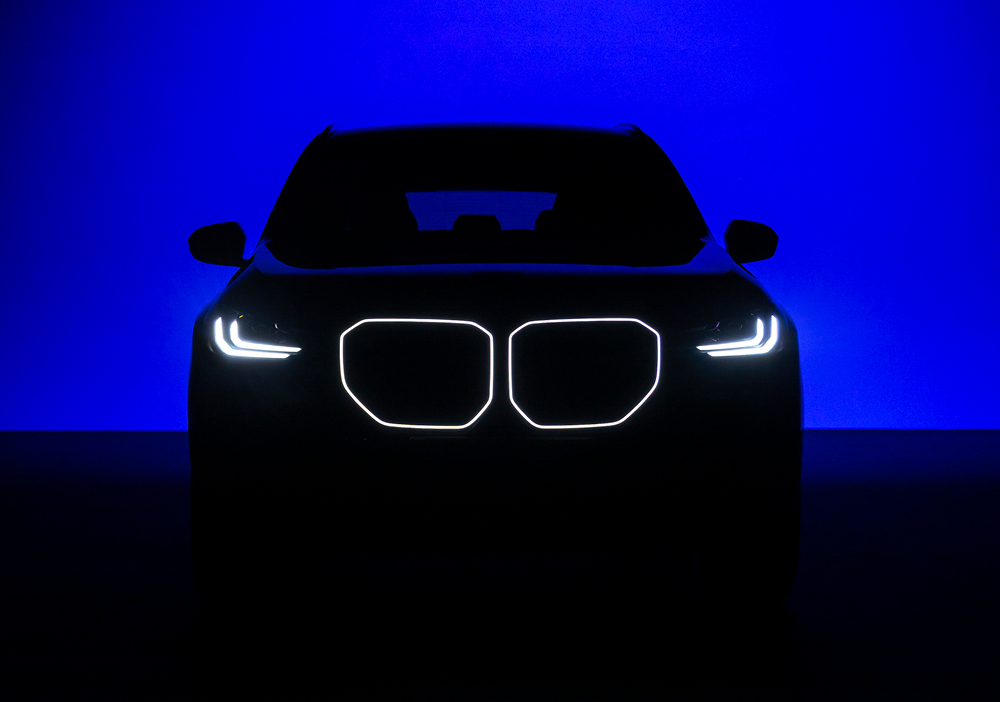 Iconic Kidney grille