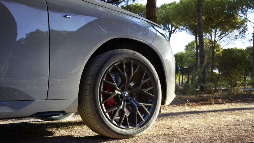  BMW Tyre and Rim Cover. 