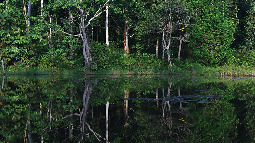 A matter of heritage BMW luxury class